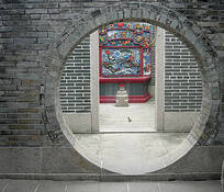 Sparrow_visits_the_temple