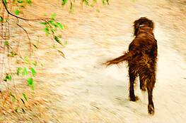 Untitled_1