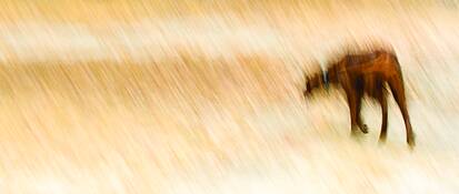 Untitled_3
