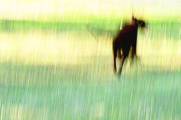 Untitled_4