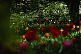 Wellesley_park_5