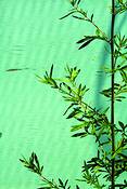 Green_on_aqua__1