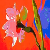 Floral_fantasy_2