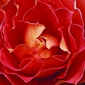 Untitled_5