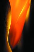 Flame