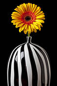 Mum_in_vase