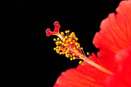 Untitled_3