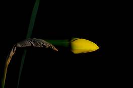 Untitled_5