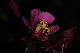 Untitled_6