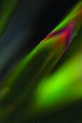 Untitled_3