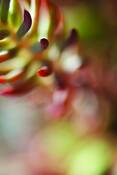 Untitled_4