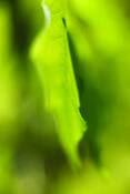 Untitled_5