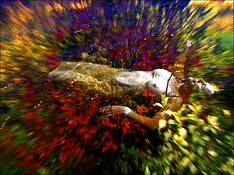 Untitled_1