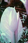Untitled_1