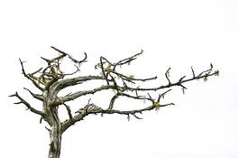 Untitled_2