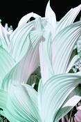 Untitled_3