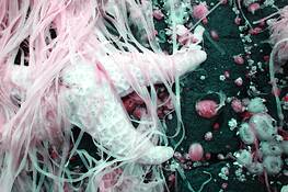 Untitled_8