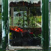 Garden_6