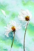 Untitled_1
