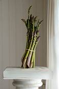 Asparagus
