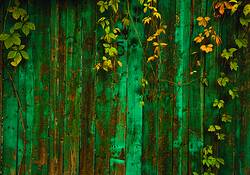 Fence