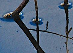 Abstract_water
