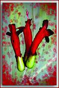 Tropical_flower_four