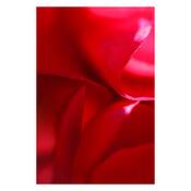 Red_secrets