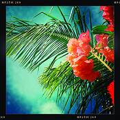 Iphone_1094