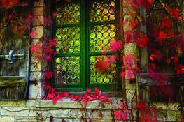 Acadia_window