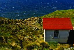 White_shack