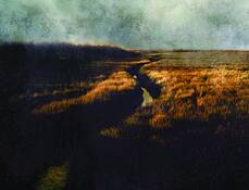 Side_stream