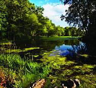 Back_waters
