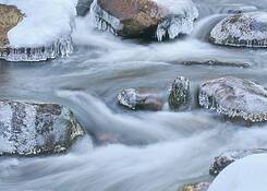 Harriman_sp