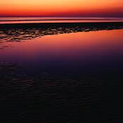 First_encounter_beach_2