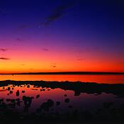 Moose_point