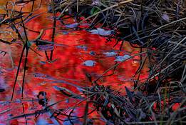 Untitled_5