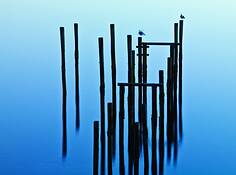 Bodega_bay
