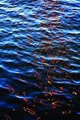Fire_writing