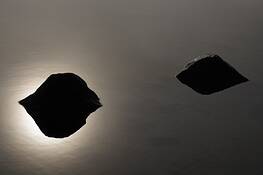 Untitled_4