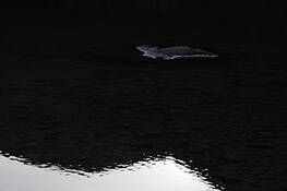 Untitled_5