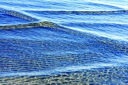Aqueous_2