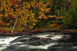 Autumn