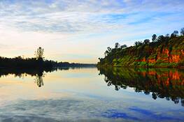River_reflections