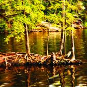 Reflection_in_water