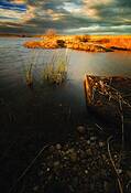 Blackwelder_dock