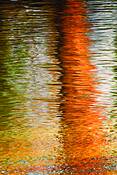 Fluidity
