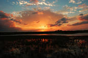 Majical_sunset