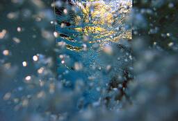 Reflection__30