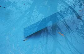Reflection__75